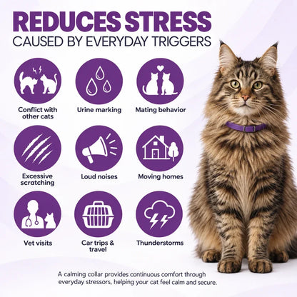 Calming Collar