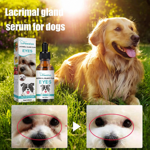 Gentle Eye Care for Happier, Cleaner Pets 🐶🐱1