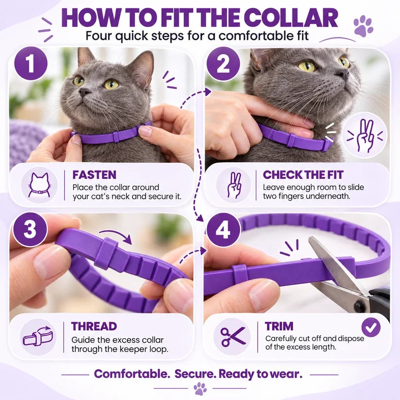 Calming Collar