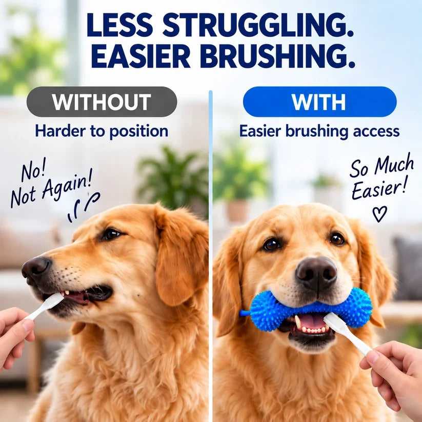 🐶Dog Brushing Aid Chew Support – Easy & Safe Teeth Cleaning Without the Struggle! 🪥