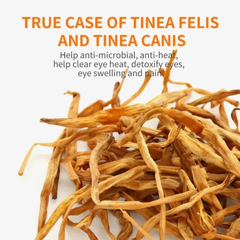 Gentle Eye Care for Happier, Cleaner Pets 🐶🐱1