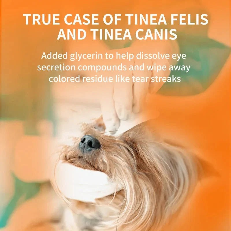 Gentle Eye Care for Happier, Cleaner Pets 🐶🐱1