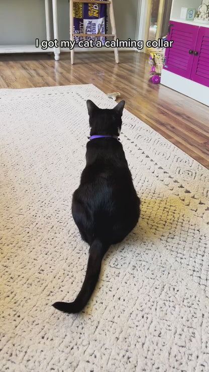 Calming Collar