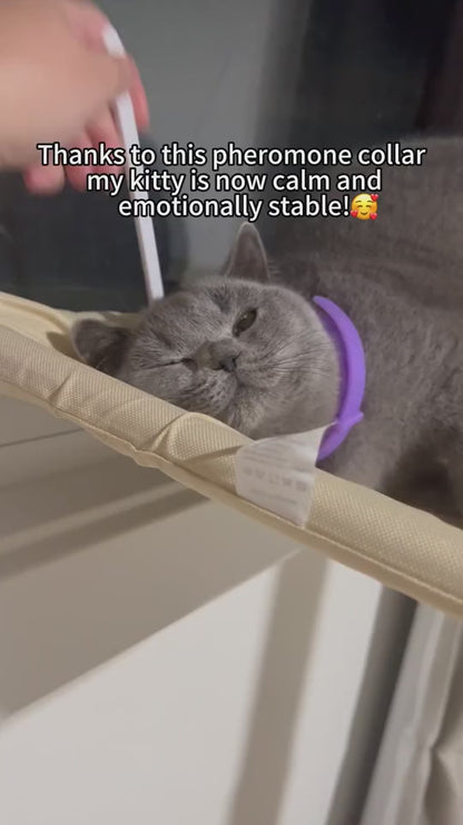 Calming Collar